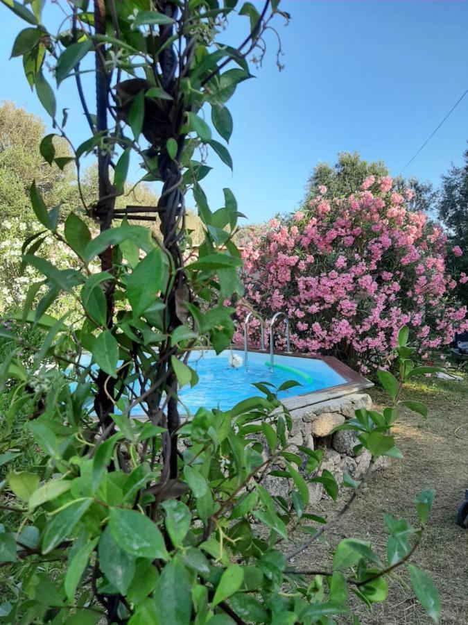 Villa Giuseppina Bonifacio  Buitenkant foto
